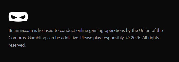 BetNinja Casino Security